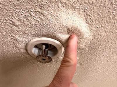 About Black Mold Removal Garden City - black mold removal experts in Garden City